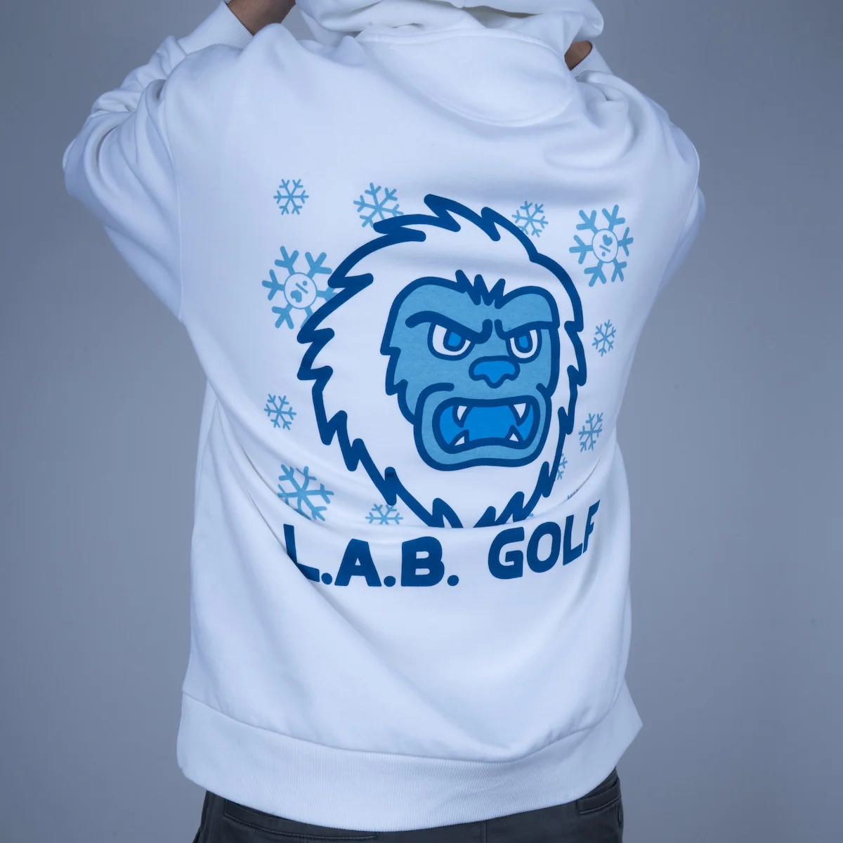 Product image 22